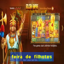 feira de filhotes porto alegre